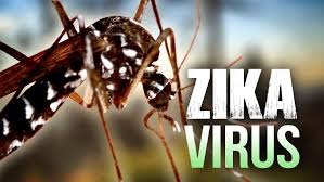 Thêm tỉnh mới có dịch bệnh do virus Zika